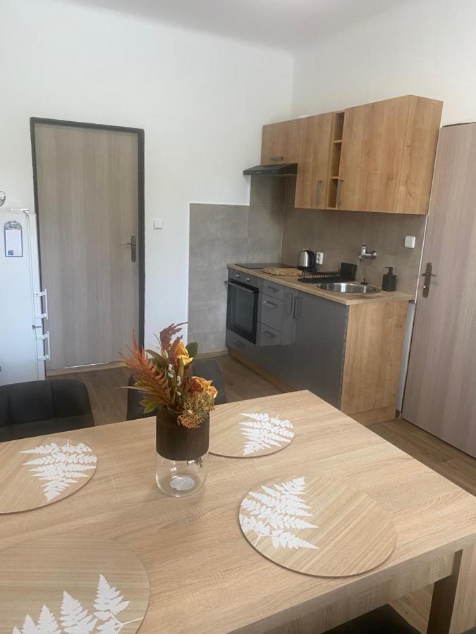 Cerna Ruze - Apartman 3 Plzeň Buitenkant foto